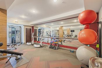 The gym at the preserve apartments